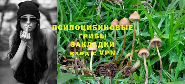 ALPHA-PVP Пестово