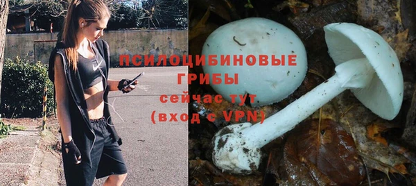 MESCALINE Пересвет