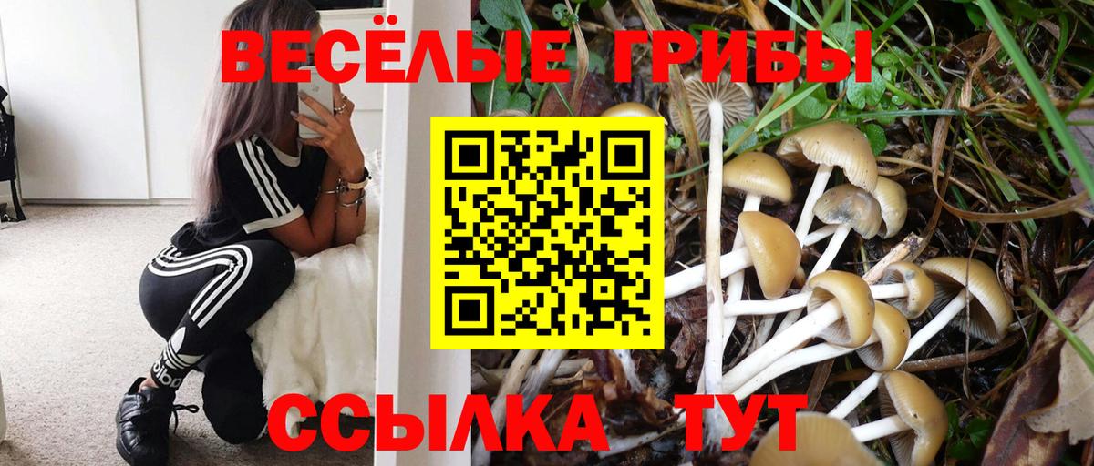 хочу   Вход с VPN  Апатиты  Псилоцибиновые грибы мицелий  Псилоцибиновые грибы Cubensis 